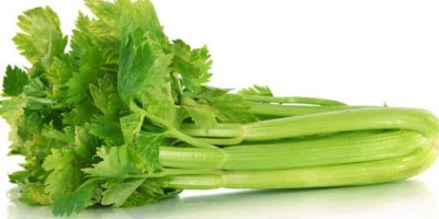 Celery & Celeriac