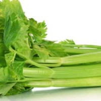 Celery & Celeriac