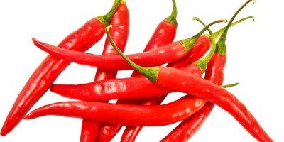 Chilli (Hot Peppers)