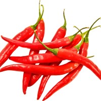 Chilli (Hot Peppers)