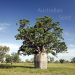 ❀⊱ ADANSONIA ✿ GREGORII AUSTRALIAN BAOBAB ✿ TREE PLANT BONSAI CAUDEX SEED ✿5 