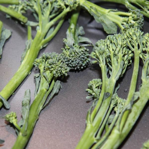 BROCCOLETTI (Broccolini)