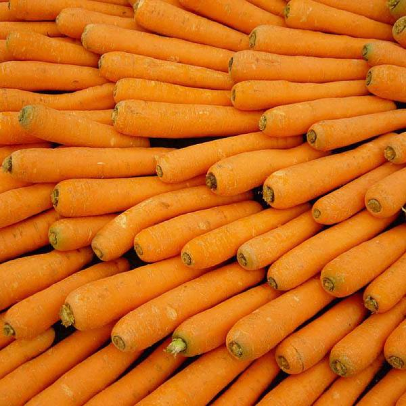 CARROT King West | 