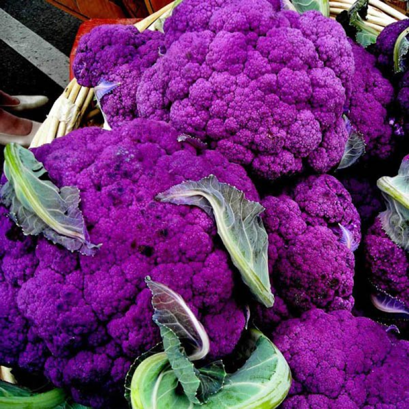 CAULIFLOWER Purple Sicily | 