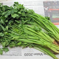 CELERY Chinese