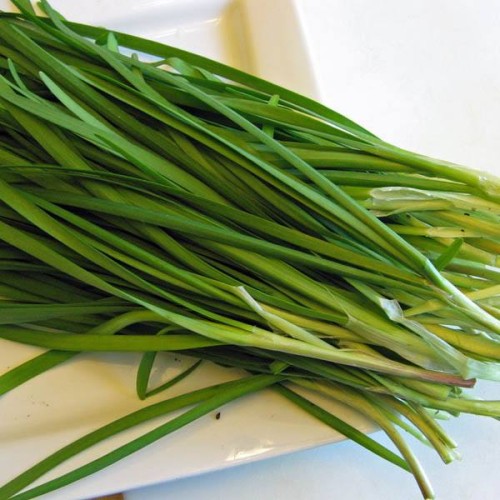 CHIVES Fuyuyo