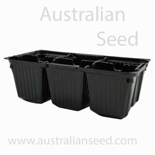 6 Cell Metric Seed Raising Punnets