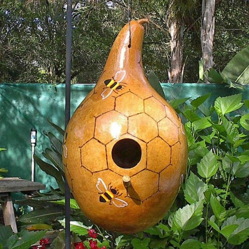 GOURD Birdhouse - LAGENARIA sicerari