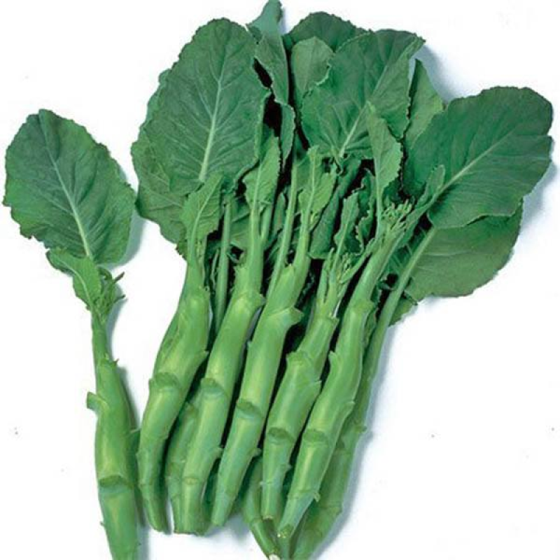 KAILAAN Chinese broccoli | 