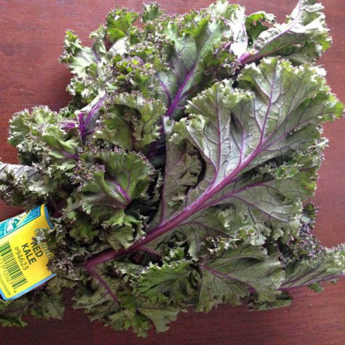 KALE Red Winter