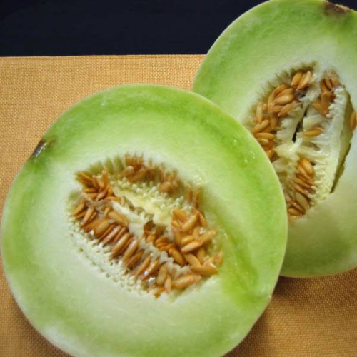 HONEY DEW Melon