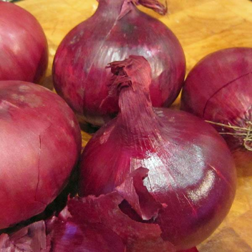 ONION Red Odourless