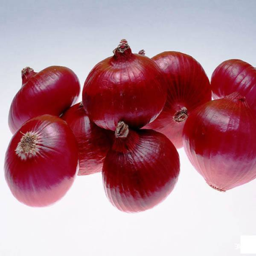 Onion Red Creole