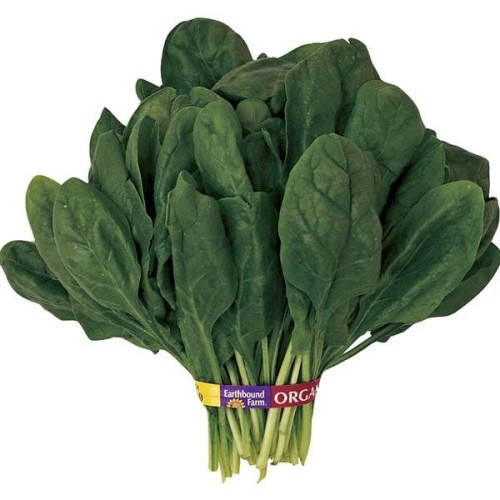 SPINACH Amsterdam Giant