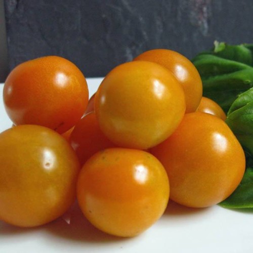 TOMATO Orange Cherry Organic