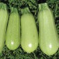 Zucchini Clarita